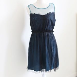 Anthropologie Mesh and Lace Dress